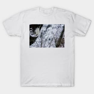 Albion Falls Center Cascades T-Shirt